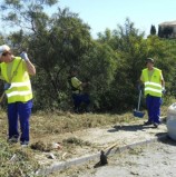 Tercera Información: «Administradores de fincas versus autónomos en Mijas»