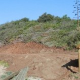 Diario Costa del Sol: «Denuncian ante la UE el «sendero» litoral de Mijas por afección a las dunas»