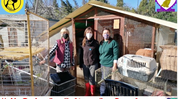 Junto a las Asociaciones Protectoras de Animales.
