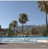 +Árboles para Mijas