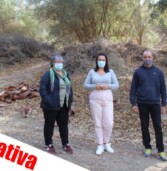 Limpieza Camino Sorroche.