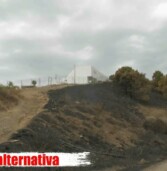 Por la PROTECCION EFECTIVA de #SierraBermeja.
